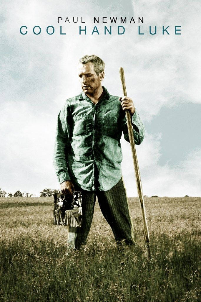傳奇好萊塢巨星保羅·紐曼《Cool Hand Luke》 壁紙 — 保羅紐曼在陽光明媚的田野中挑釁地站著，手持棍棒和相機，天空多雲。