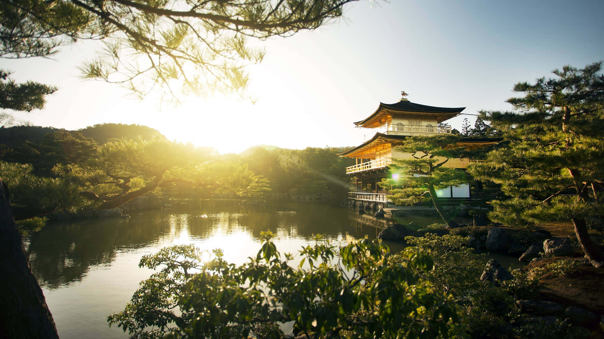 日落時分的金色寺廟亭閣倒映在寧靜的池塘中，四周綠意盎然。