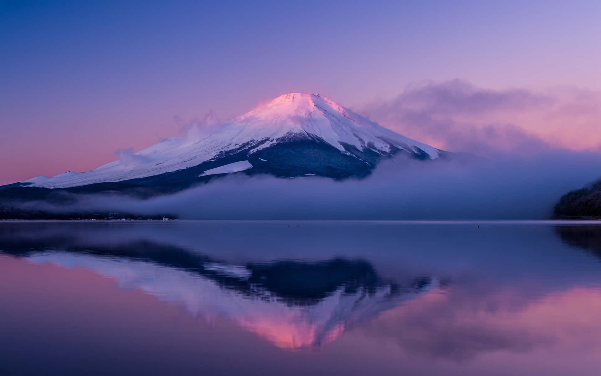 富士山在黎明時分倒映在湖中，天空呈現粉紅色和紫色