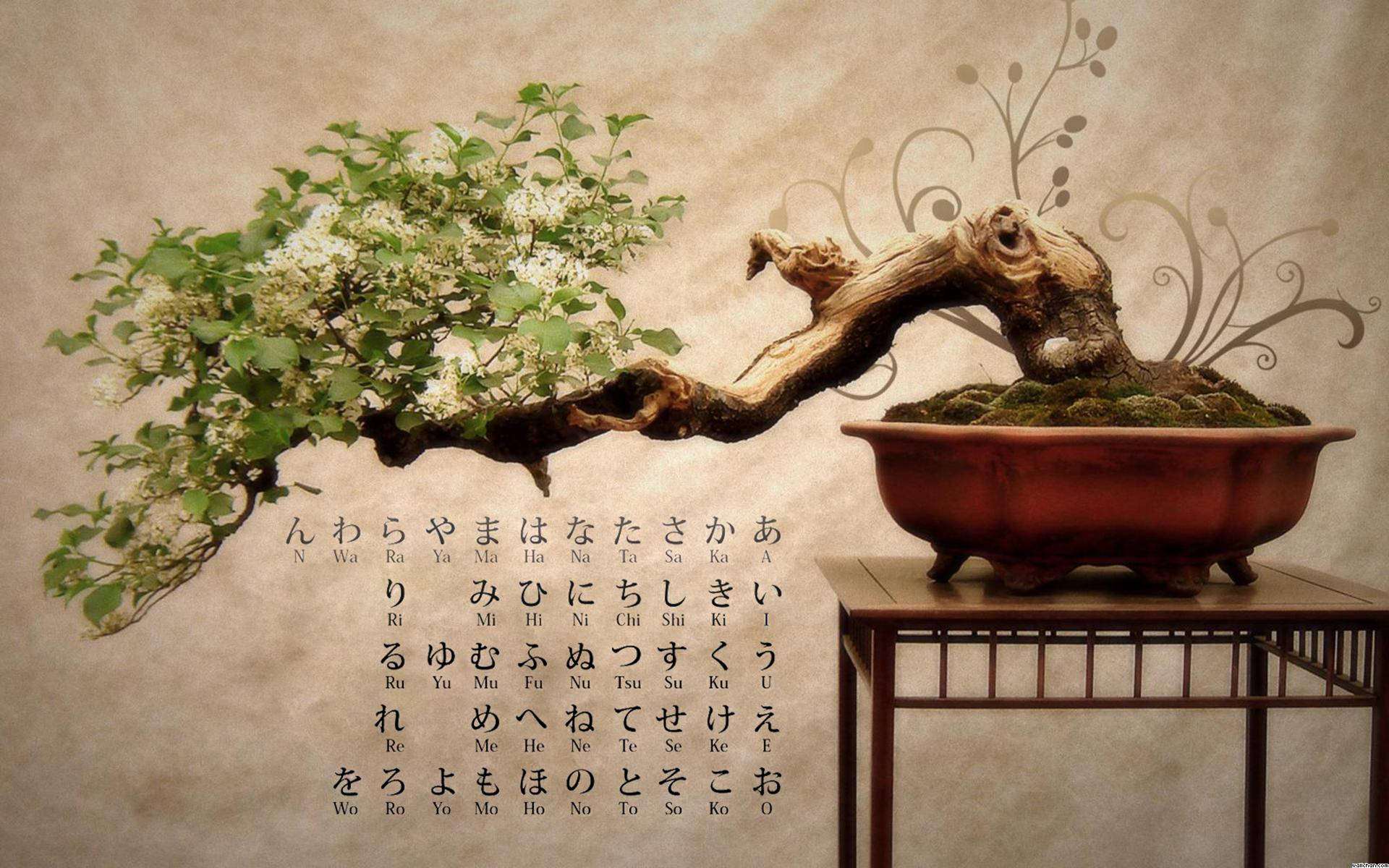 一棵開著白色花朵的盆景樹，放在紅色花盆中，置於帶有日文字符的木架上。