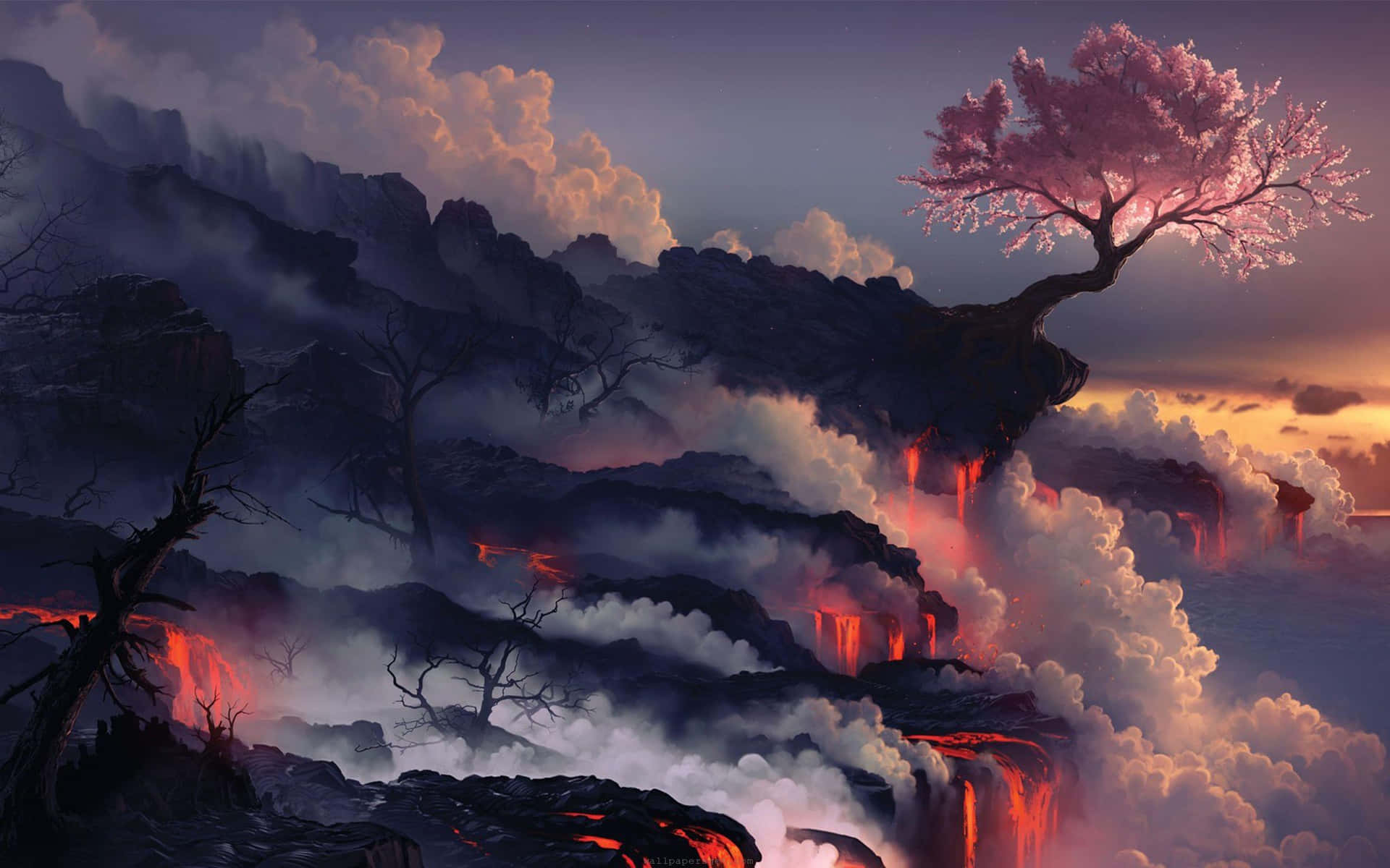 一棵櫻花樹站在火山懸崖上，有流動的熔岩和霧氣雲層，在日落時分。