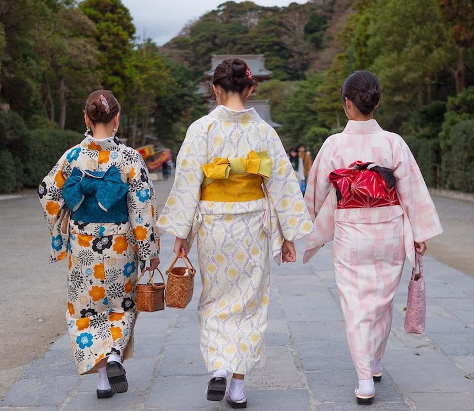 傳統日本和服 壁紙 — 三位身穿色彩繽紛和服的女性沿著石徑穿過茂密的綠色森林走開。