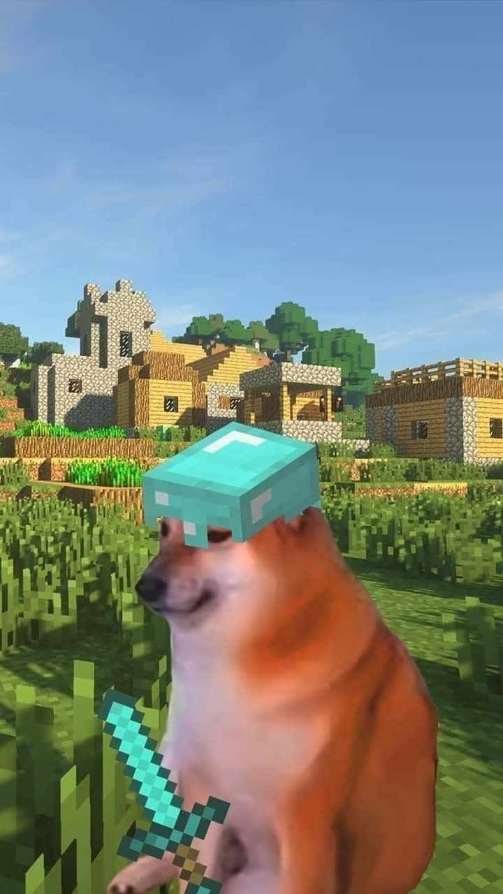 狗穿著Minecraft裝備在草地村莊場景中持劍