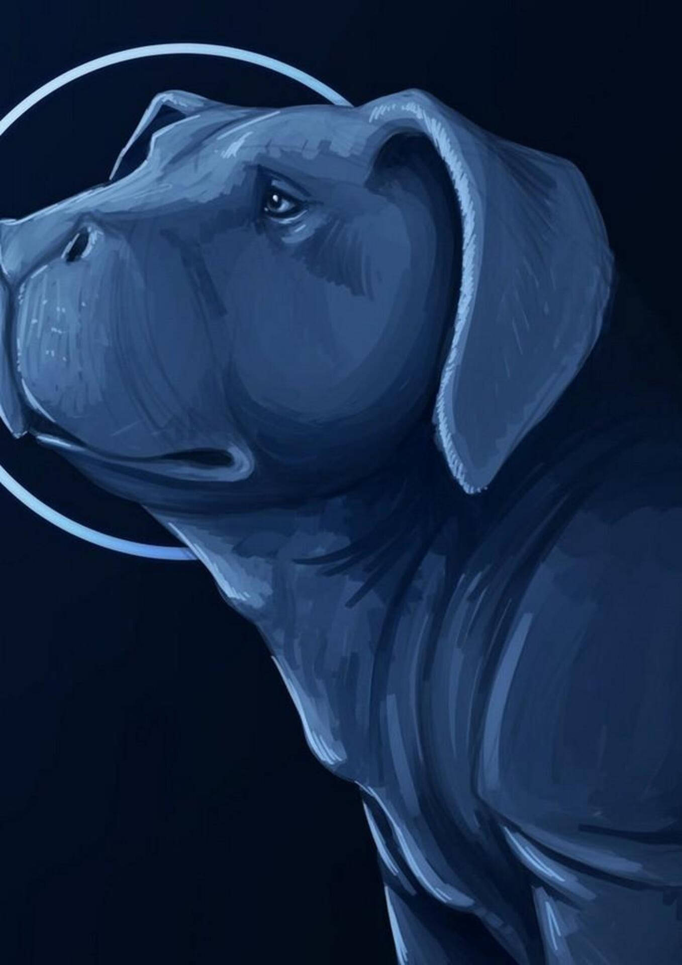 一隻藍色插圖狗帶有發光光環向上看。