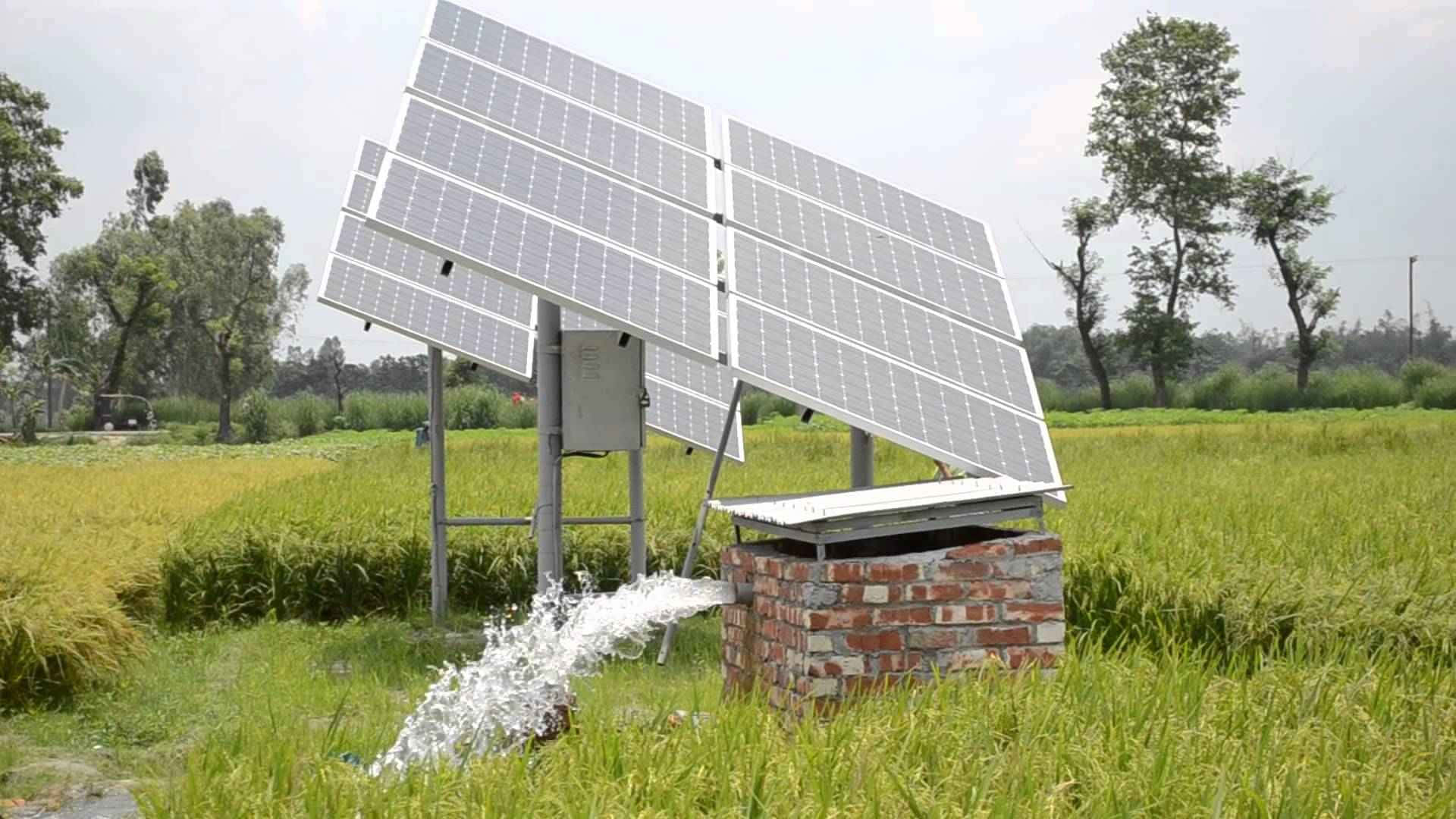 太陽能板為稻田中的水泵供電。