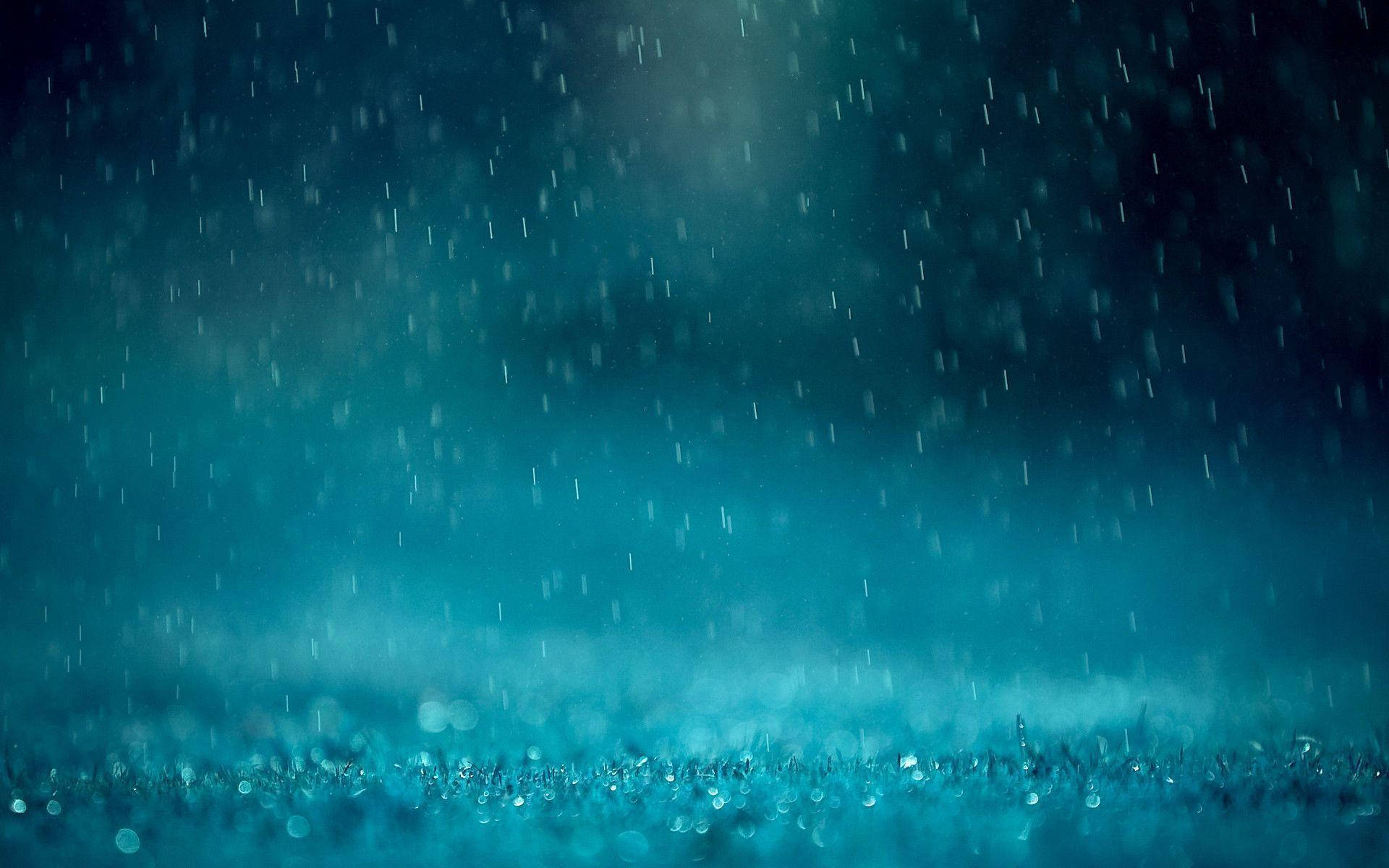 夜間雨落在草地上，背景有發光的散景燈光。