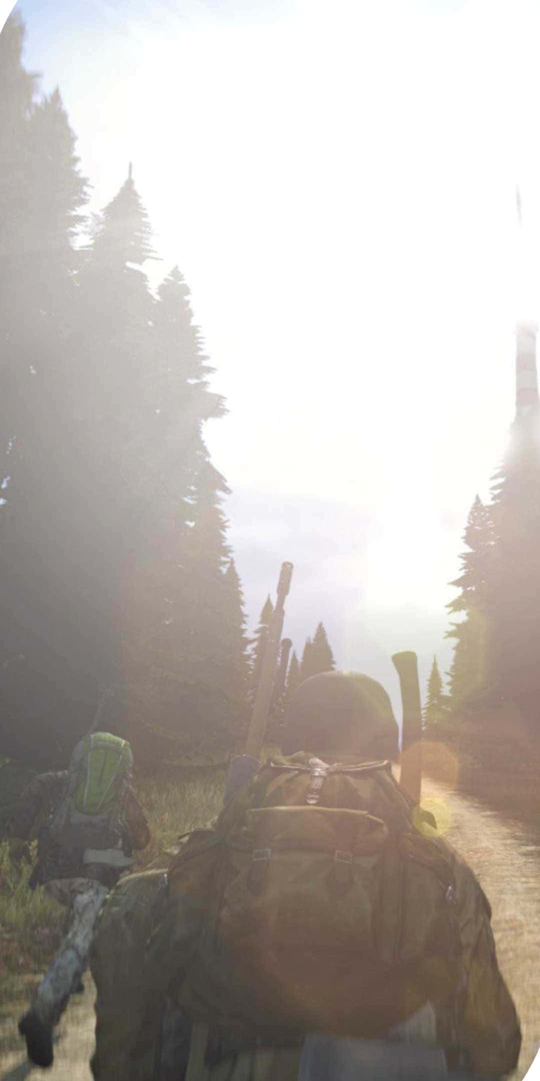 像素3《DayZ Epoch Mod》奔跑背景 壁紙 — 兩名揹著背包的遠足者沿著一條泥土小徑穿越陽光普照的松樹林。