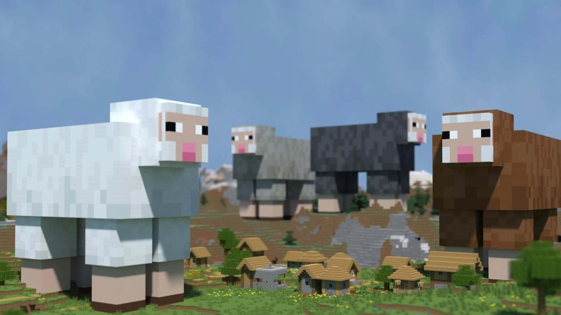 Minecraft Sheep 桌布 壁紙 — 像素化的Minecraft羊以各種羊毛顏色站在草地村莊中，天空清澈湛藍。