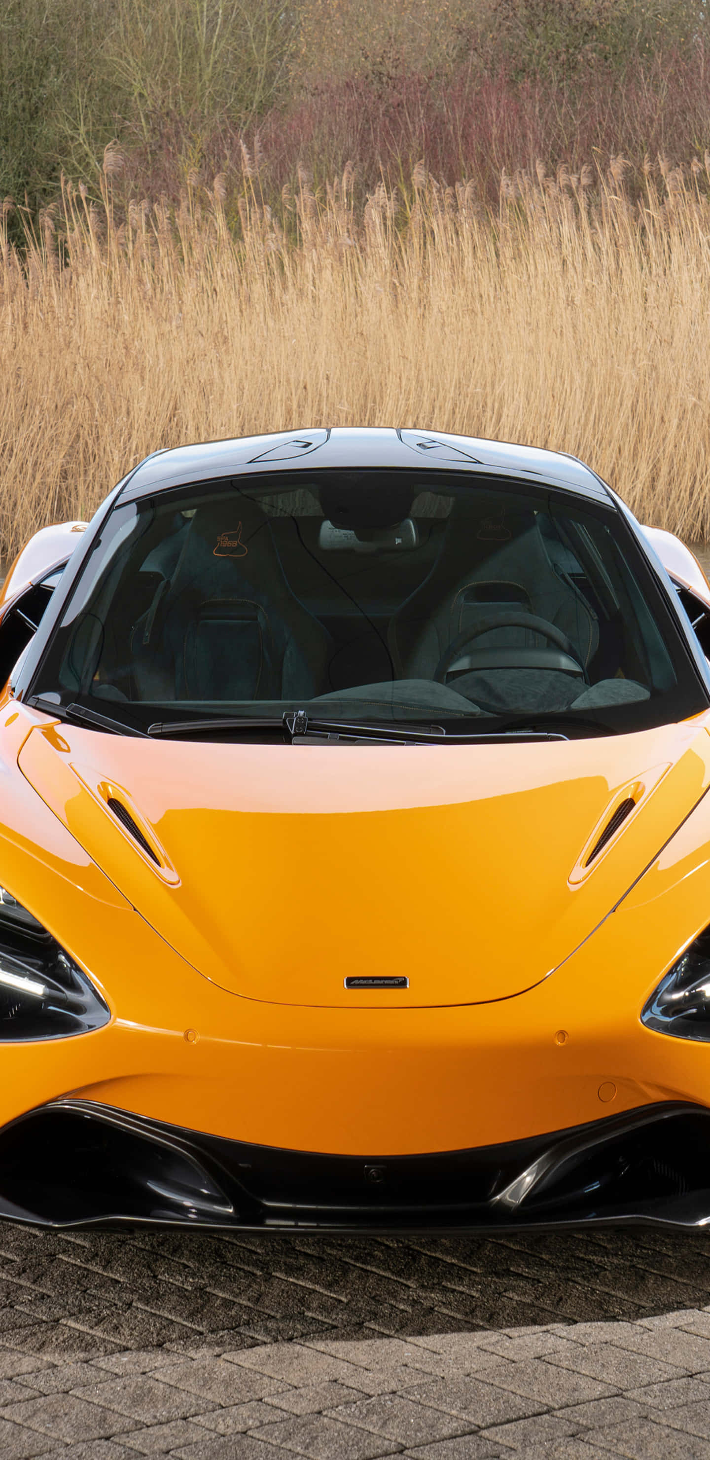 像素風黃色麥拉倫720S壁紙 壁紙 — 一輛充滿活力的橙色McLaren跑車停泊在石徑上，後面有高高的金色草叢。