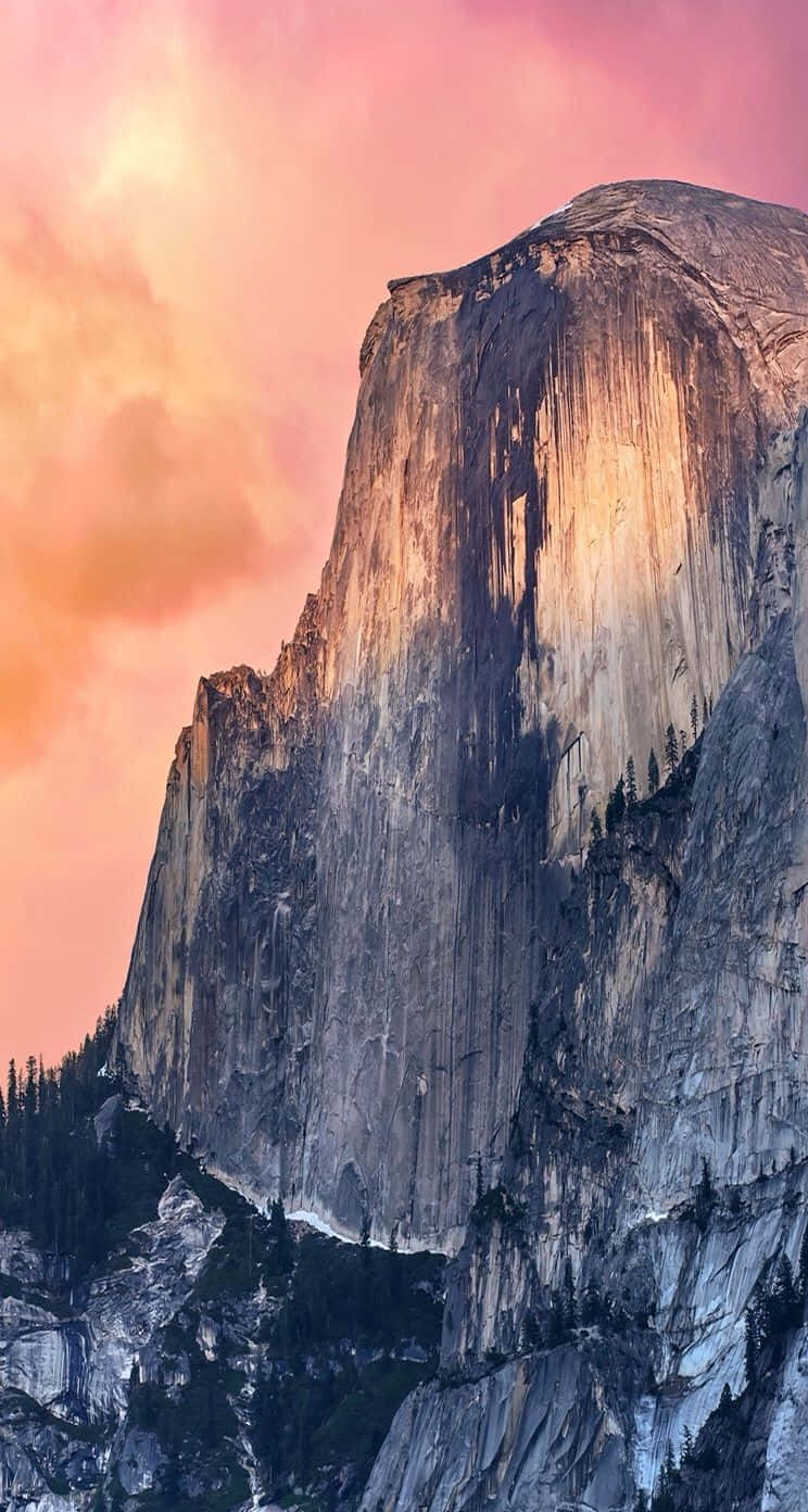 日落時分的 Half Dome 山峰，天空呈現粉紅色和橙色，還有松樹。