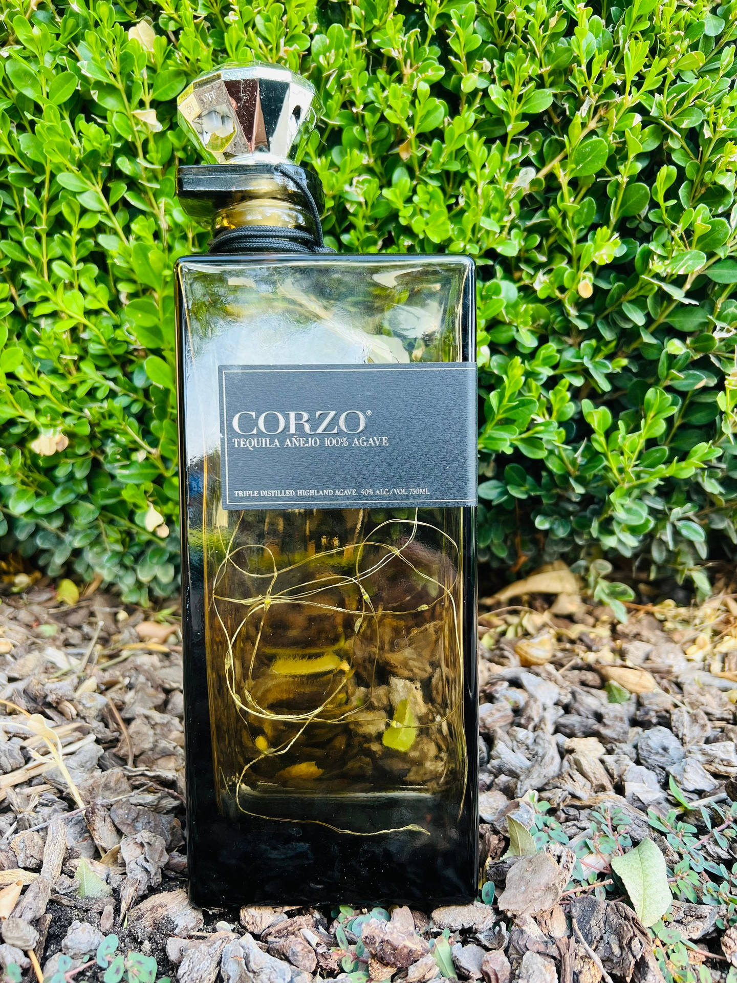 一瓶 Corzo 龍舌蘭酒放在木屑上，後面有綠色灌木叢。