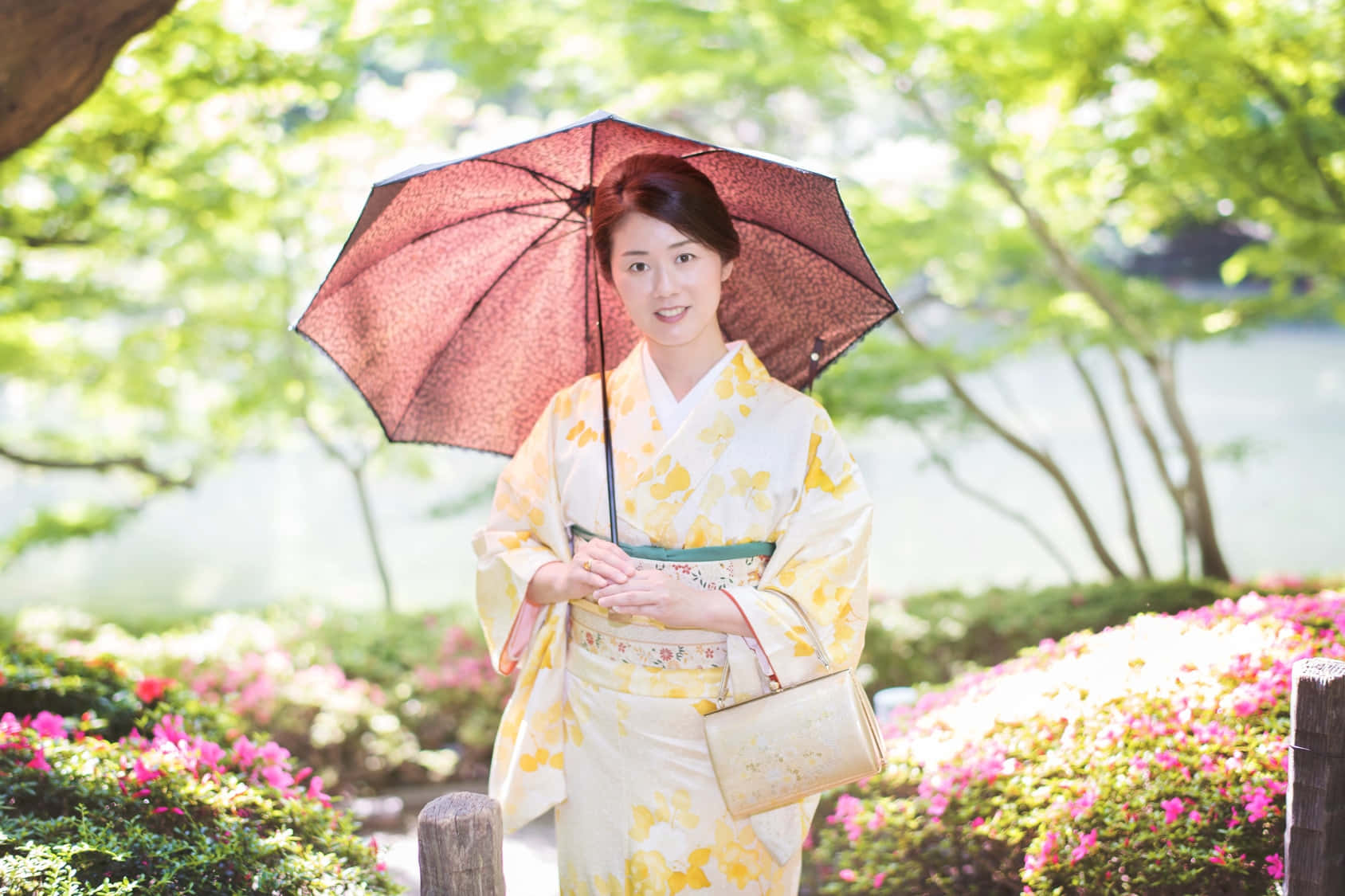 優雅傳統日本和服展示 壁紙 — 一位微笑的女子身穿黃色花卉和服，在盛開的粉紅色杜鵑花和陽光照射的綠樹中撐著紅色雨傘。