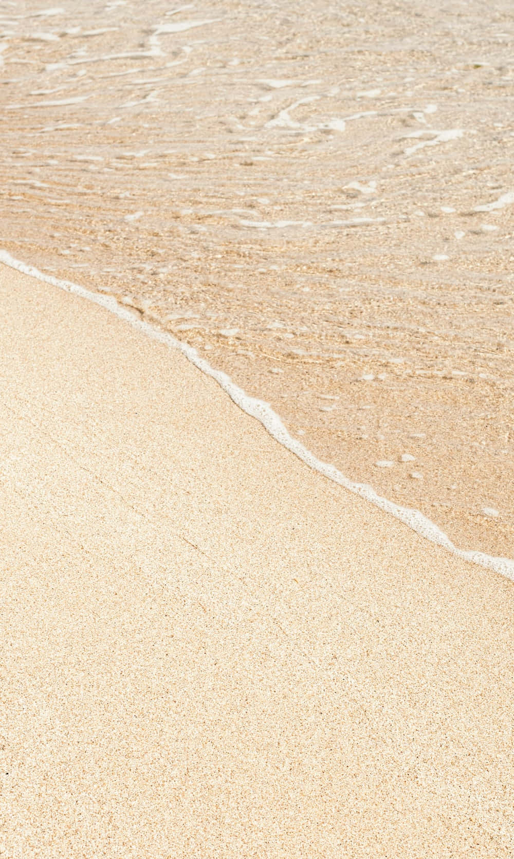 海浪輕輕地滾上金色沙灘的海岸線。