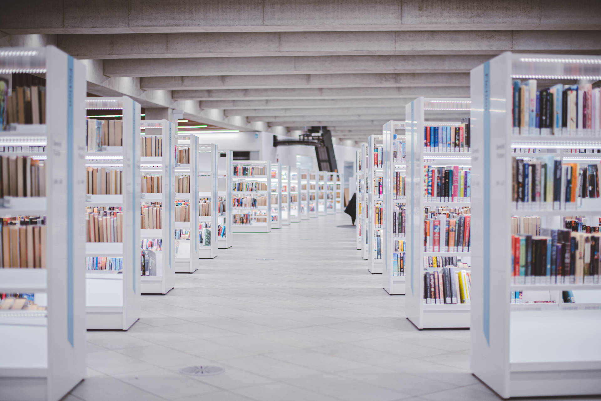 長圖書館走廊，白色書架同色彩繽紛嘅書本喺明亮燈光下。