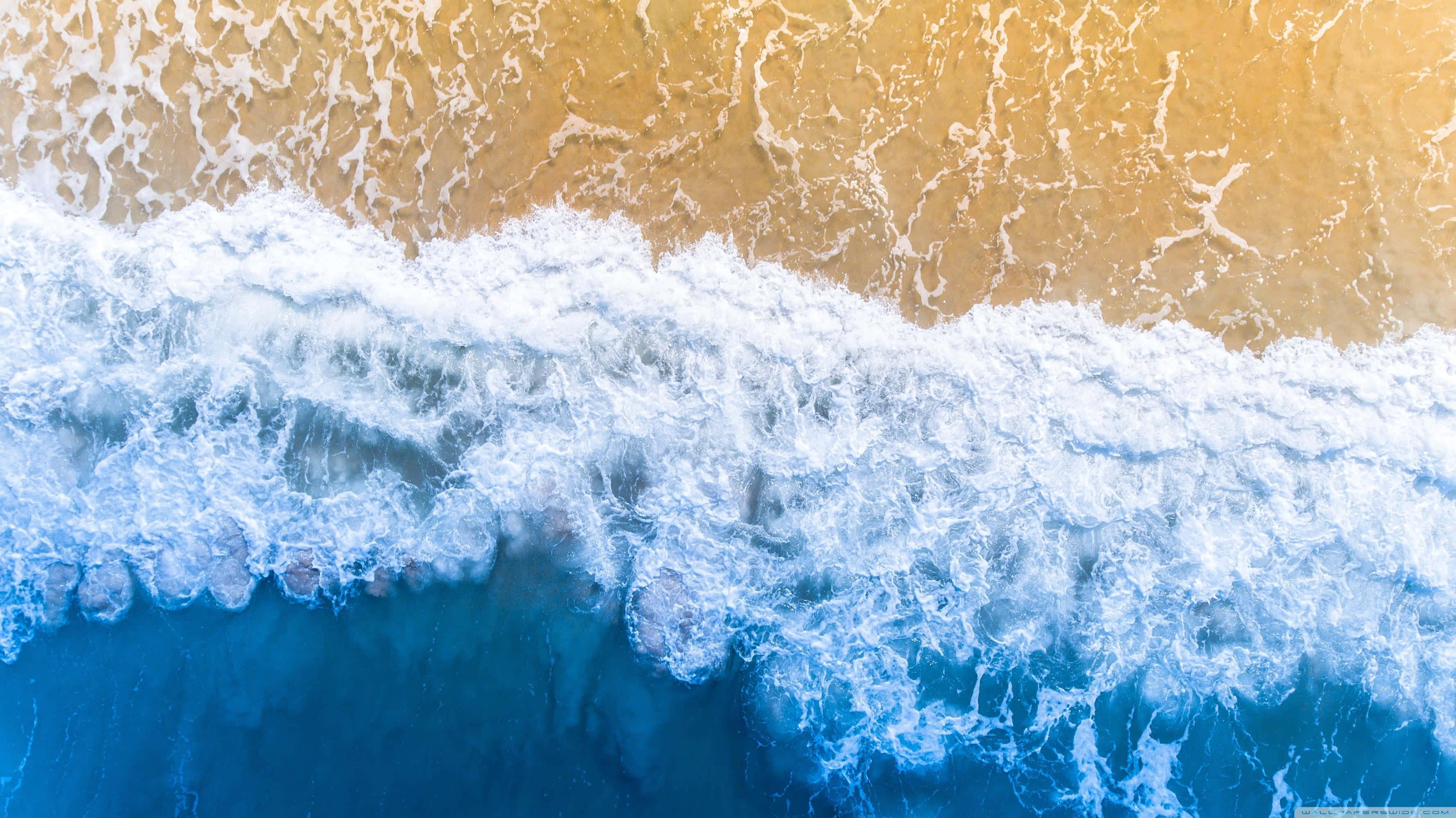 優雅海灘波浪 壁紙 — 從上空俯瞰海浪拍打金色沙灘，泛起白色泡沫的景色。