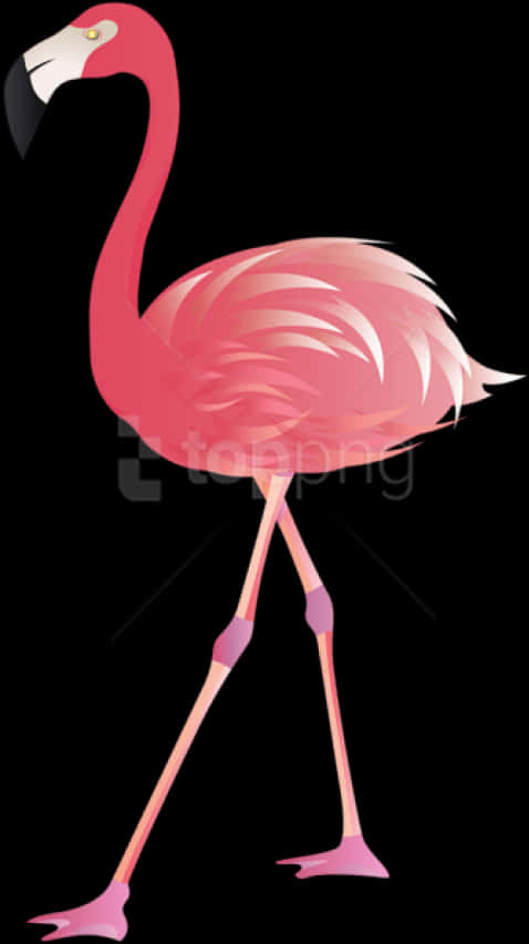 優雅火烈鳥插畫 壁紙