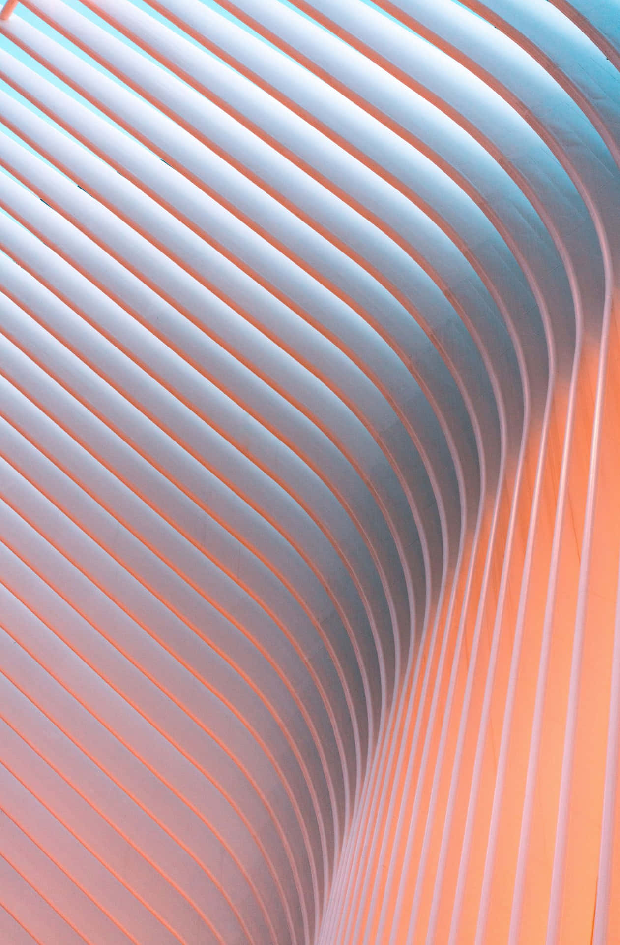 抽象建築圖案，帶有桃色和藍綠色漸變的流動曲線。