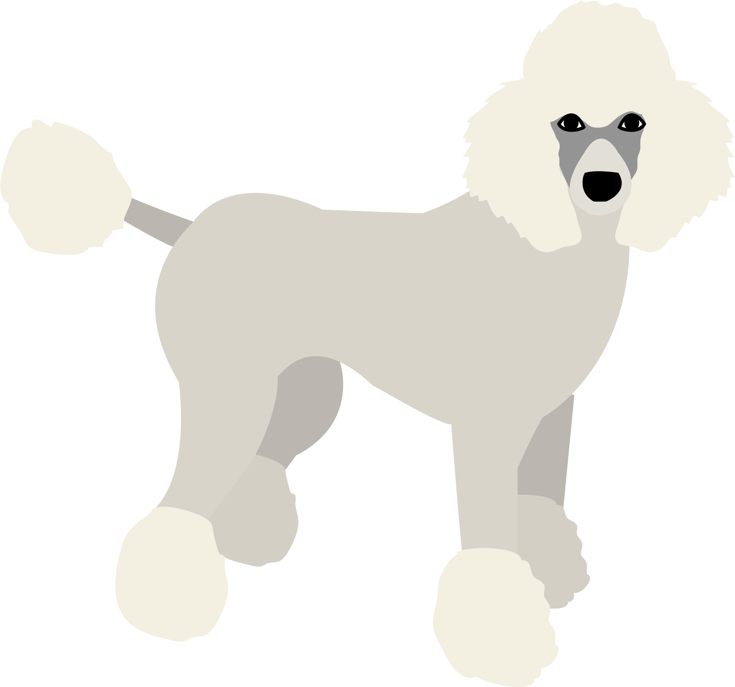 優雅灰貴賓犬插畫 壁紙 — 一隻風格化的白色貴賓犬，有著蓬鬆的絨球尾巴和腳，在純黑色背景下警覺地站立。