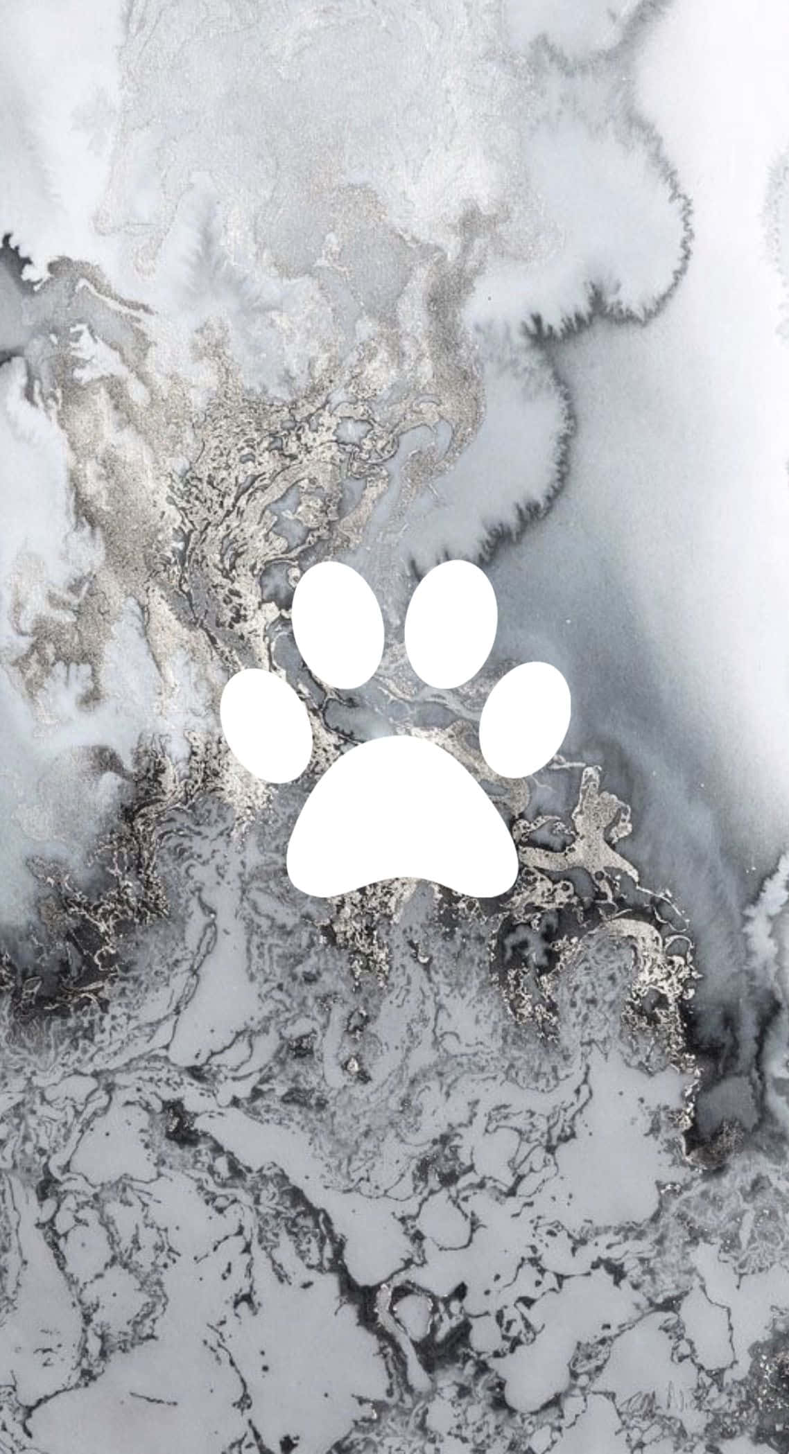 優雅獨特的設計。以這款iPhone展現經典銀色美學。 壁紙