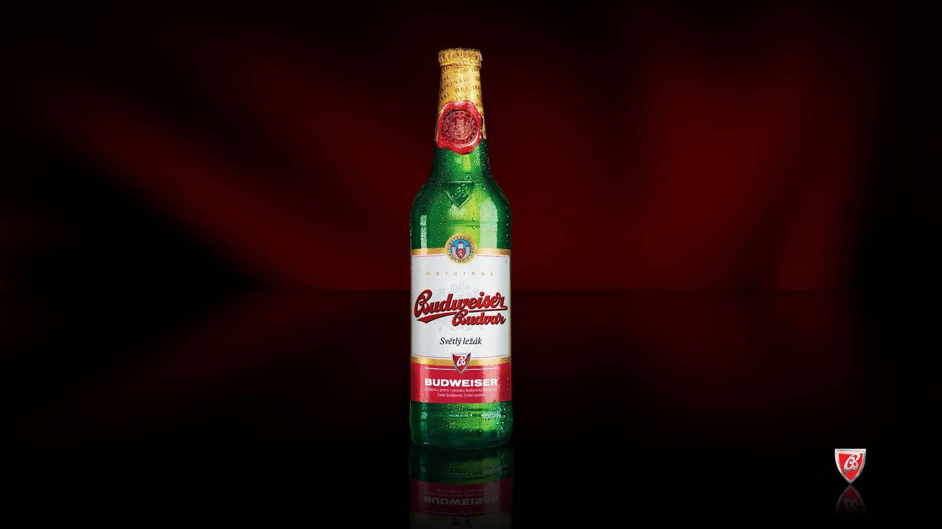 優雅瓶裝百威布達瓦啤酒 壁紙 — 冰凍的綠色Budweiser Budvar啤酒瓶在聚光燈下閃閃發光，背景為深紅色漸變及反射表面。