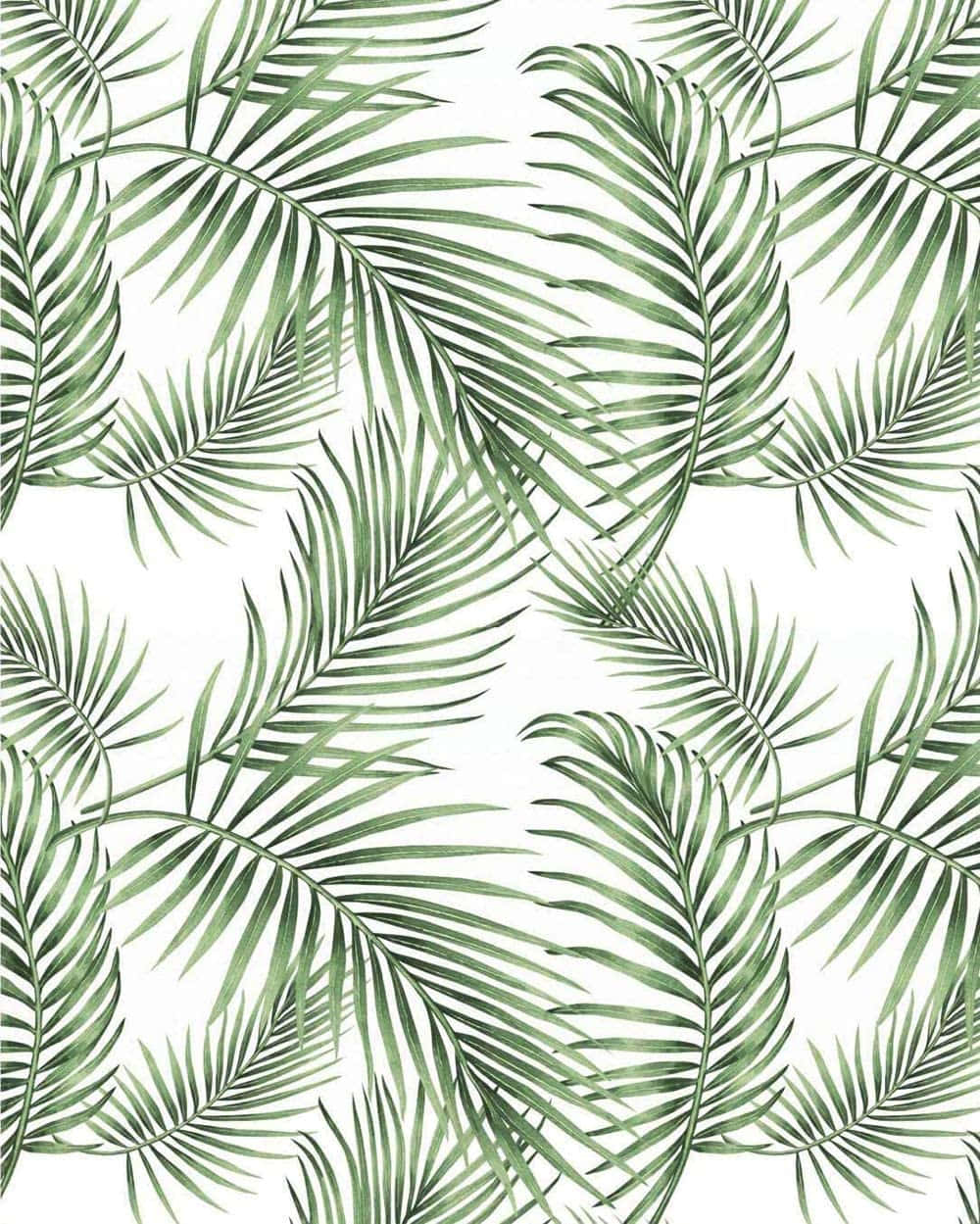 Palm 桌布 壁紙 — 優雅的水彩棕櫚葉以不同深淺的綠色在清晰白色背景上優雅地重疊。