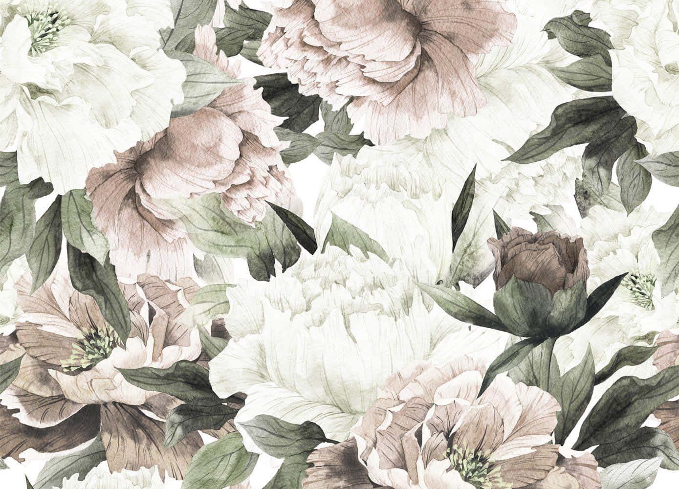 Floral Print 桌布 壁紙 — 優雅的水彩牡丹花，以柔和的米色和鼠尾草綠色在潔白背景上綻放。