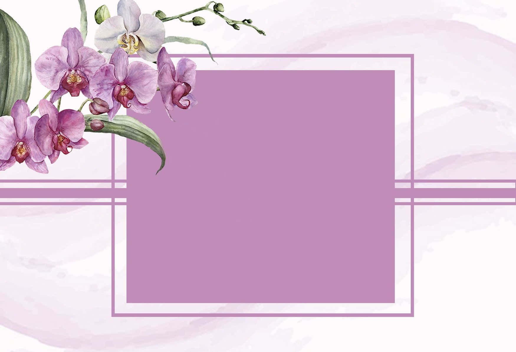 Orchid 桌布 壁紙 — 優雅的水彩蘭花以柔和的紫色在淡紫色長方形框架旁優美綻放，背景為柔和的水洗效果。