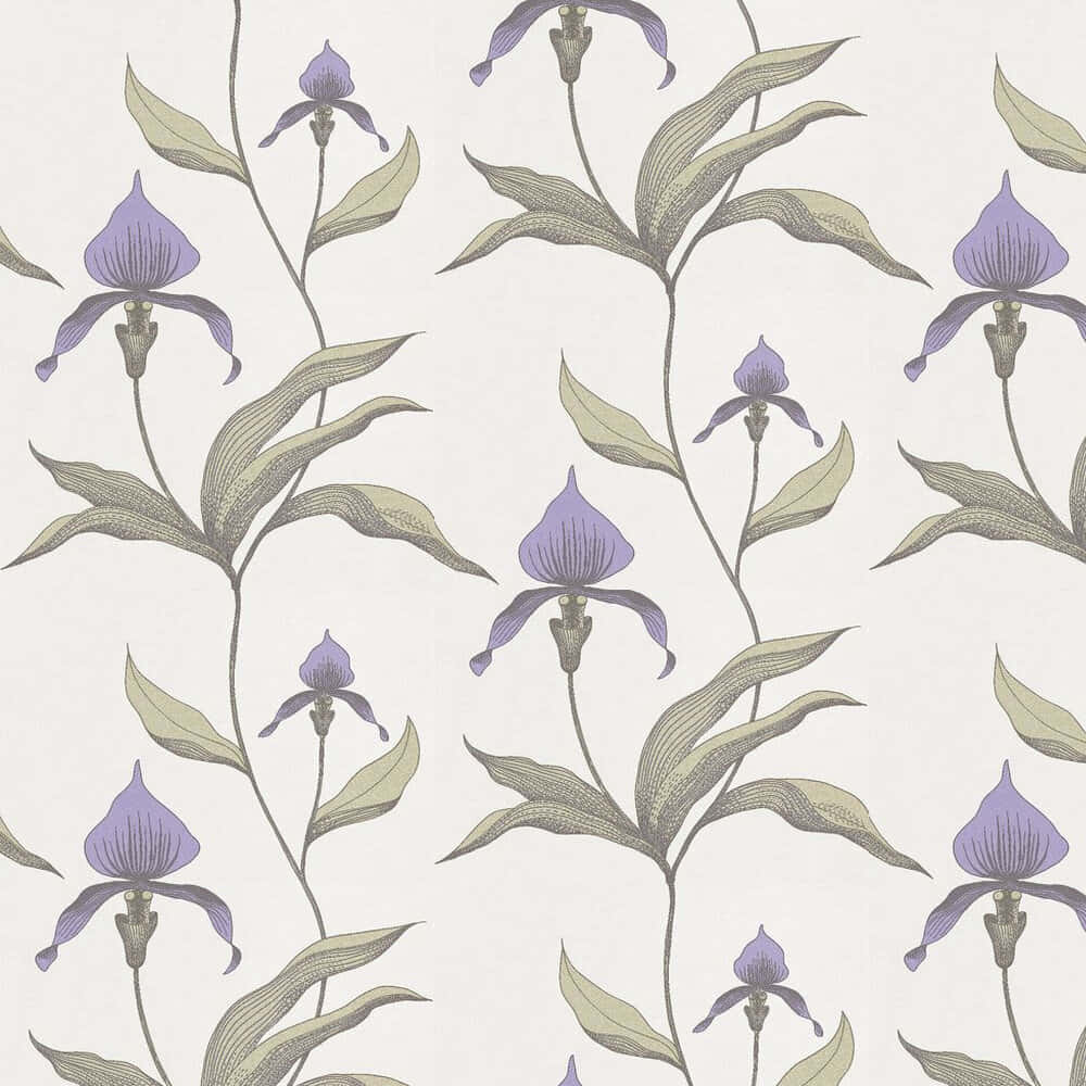 Orchid 桌布 壁紙 — 優雅的紫色蘭花配以綠色葉子，在奶油色背景上重複的復古植物圖案。