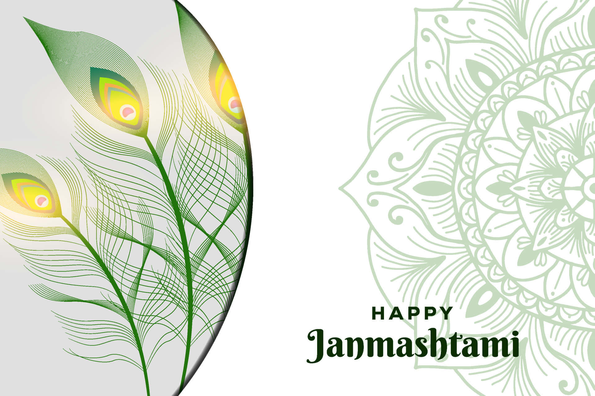 Krishna Janmashtami 桌布 壁紙 — 優雅的綠色孔雀羽毛和曼陀羅設計，在柔和的白色背景上框住「Happy Janmashtami」文字。