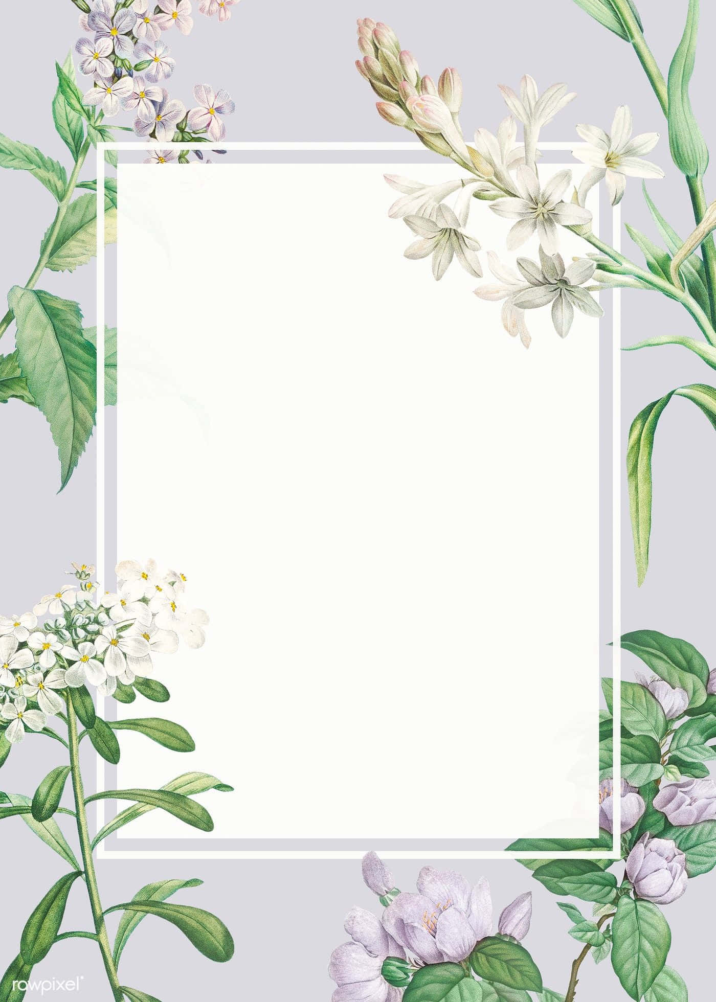 Floral Phone 桌布 壁紙 — 優雅的花卉邊框，以白色和薰衣草色花朵及綠色葉片環繞一個空白白色矩形，置於柔和灰色背景上。