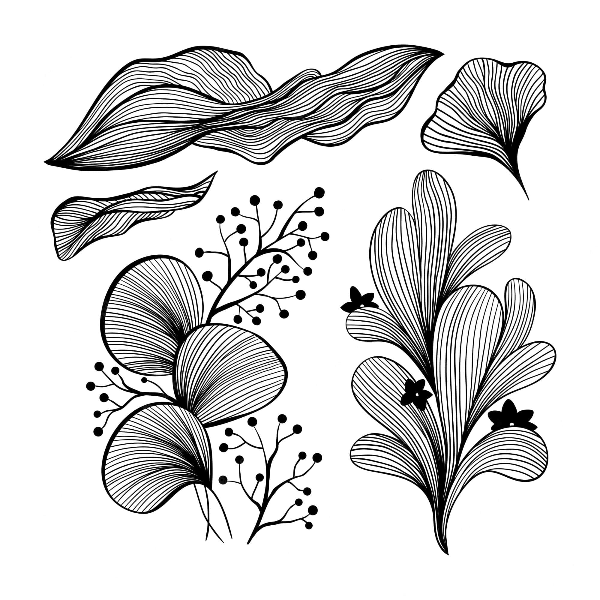 Black Art 桌布 壁紙 — 優雅的黑白線條藝術插圖，描繪風格化的葉子和花朵，帶有複雜的平行筆觸。