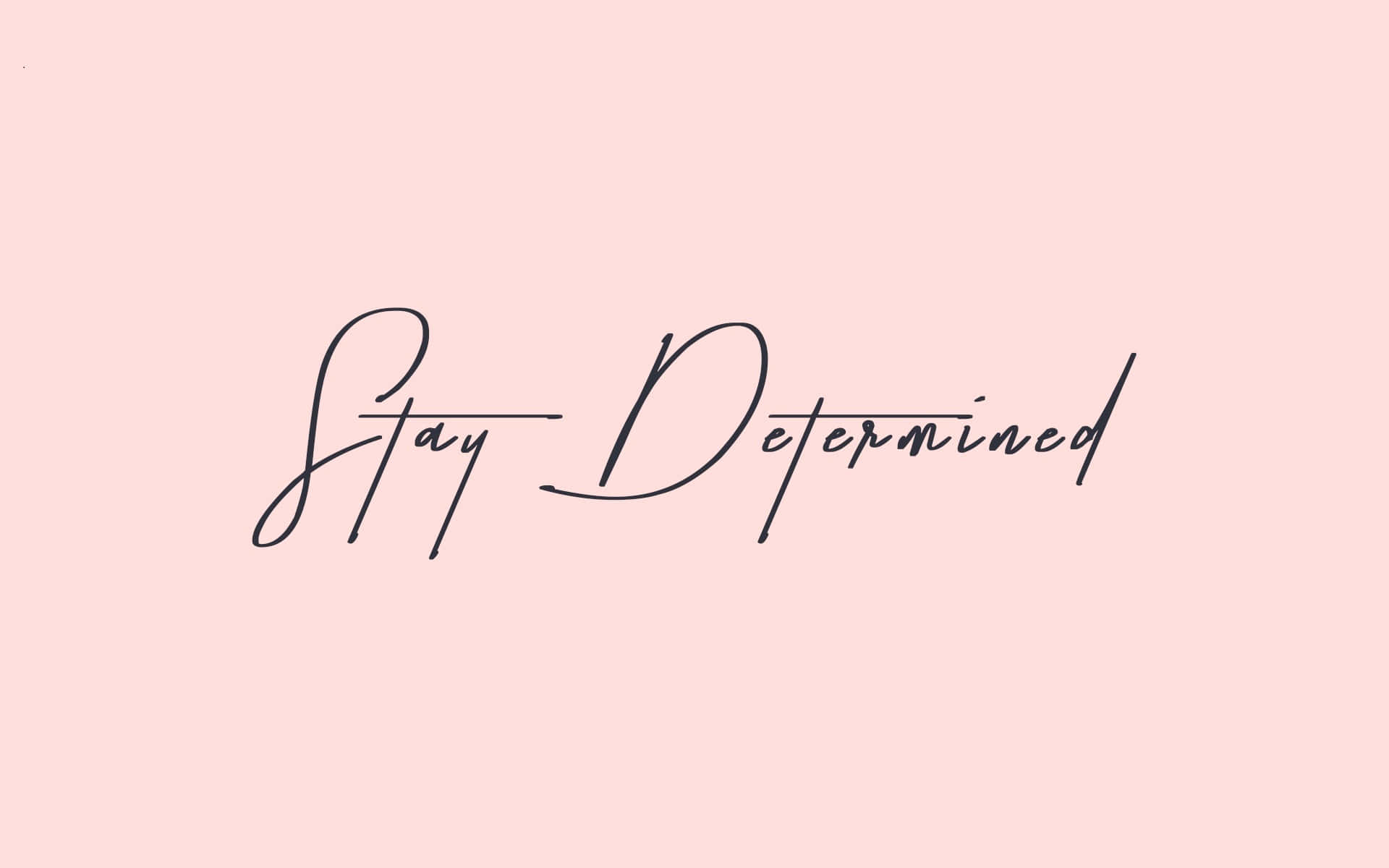  壁紙 — 優雅的黑色草書文字「Stay Determined」居中於柔和的粉紅色背景上。