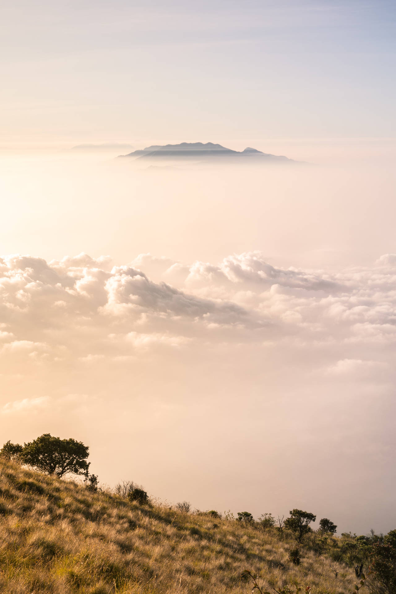 日出在霧氣瀰漫的山景之上，下方有雲層。