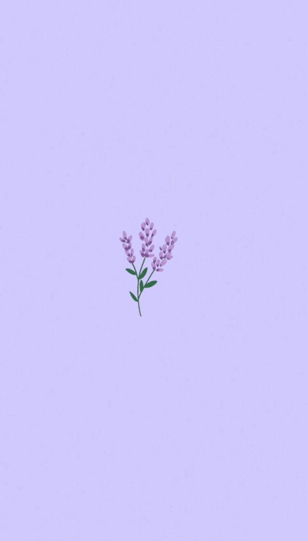 淺紫色背景上的一幅小型薰衣草花插圖。