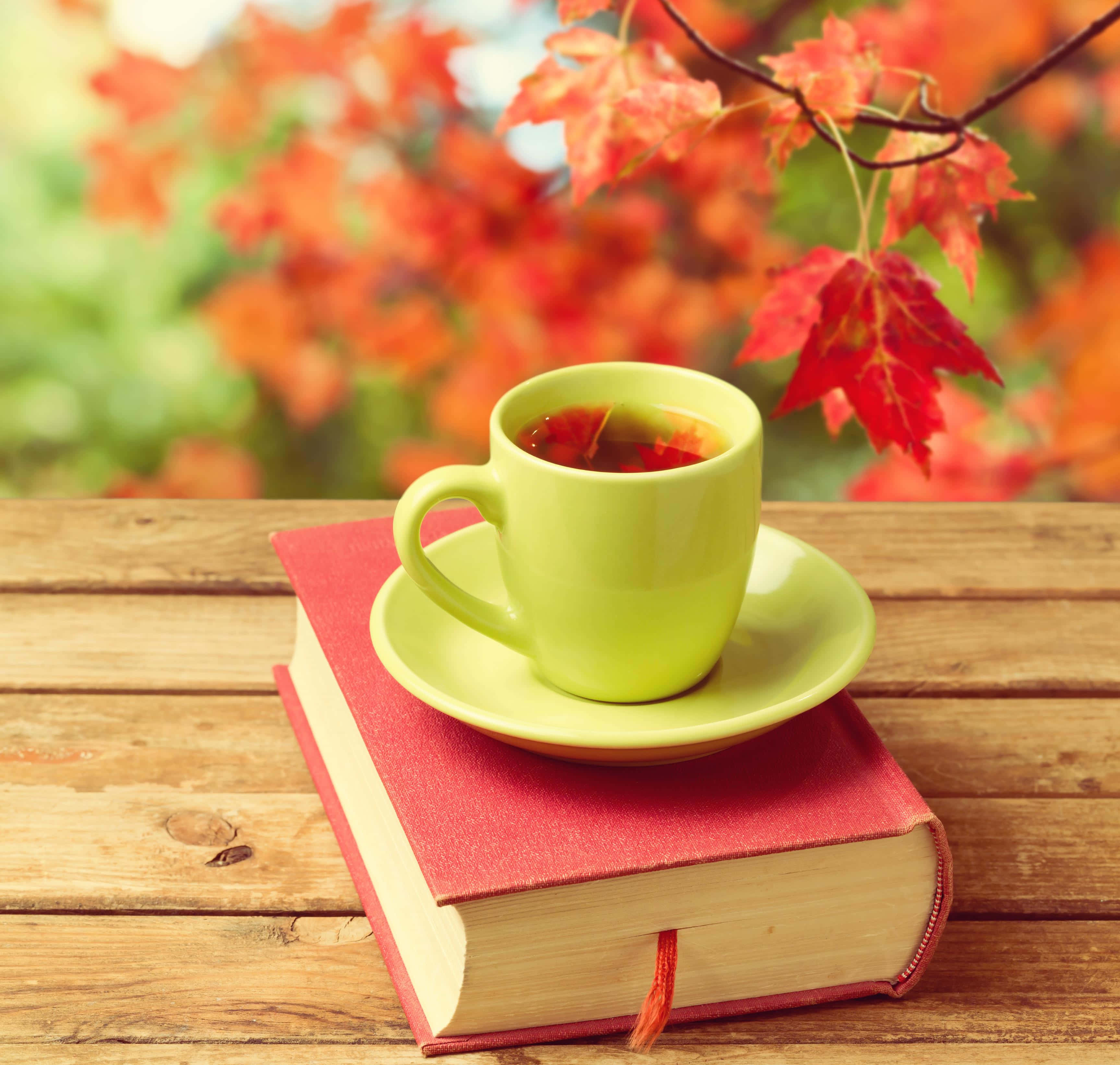 優雅茶杯佈置 壁紙 — 一個青檸綠色的茶杯放在木桌上的一本紅書上，背景有鮮豔的秋葉，呈現柔和焦點。