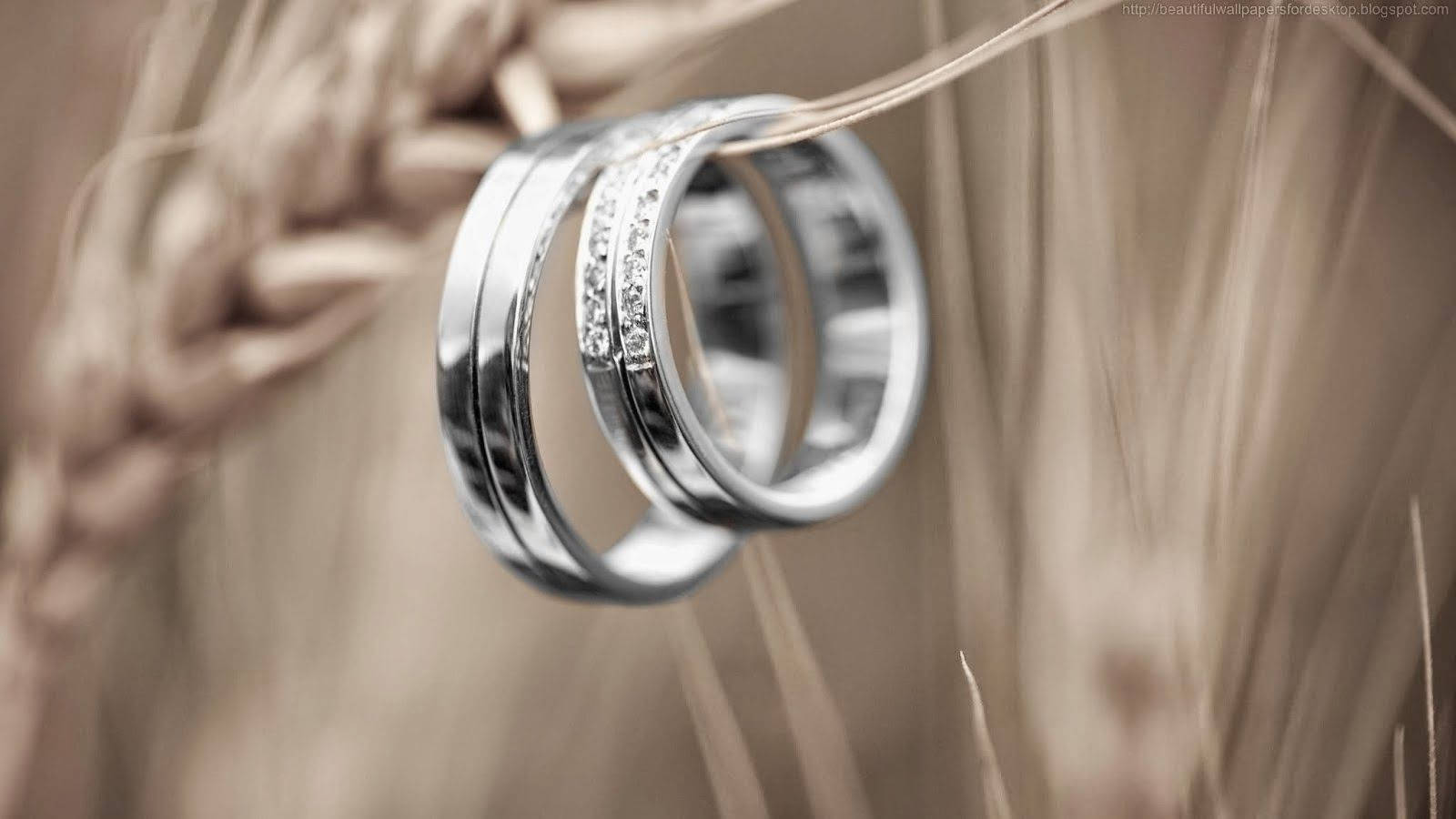 優雅銀婚戒 壁紙 — 兩枚銀色結婚戒指鑲有鑽石，優雅地放在柔焦的金色麥稈上。
