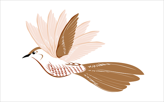 優雅雀鳥插畫 壁紙