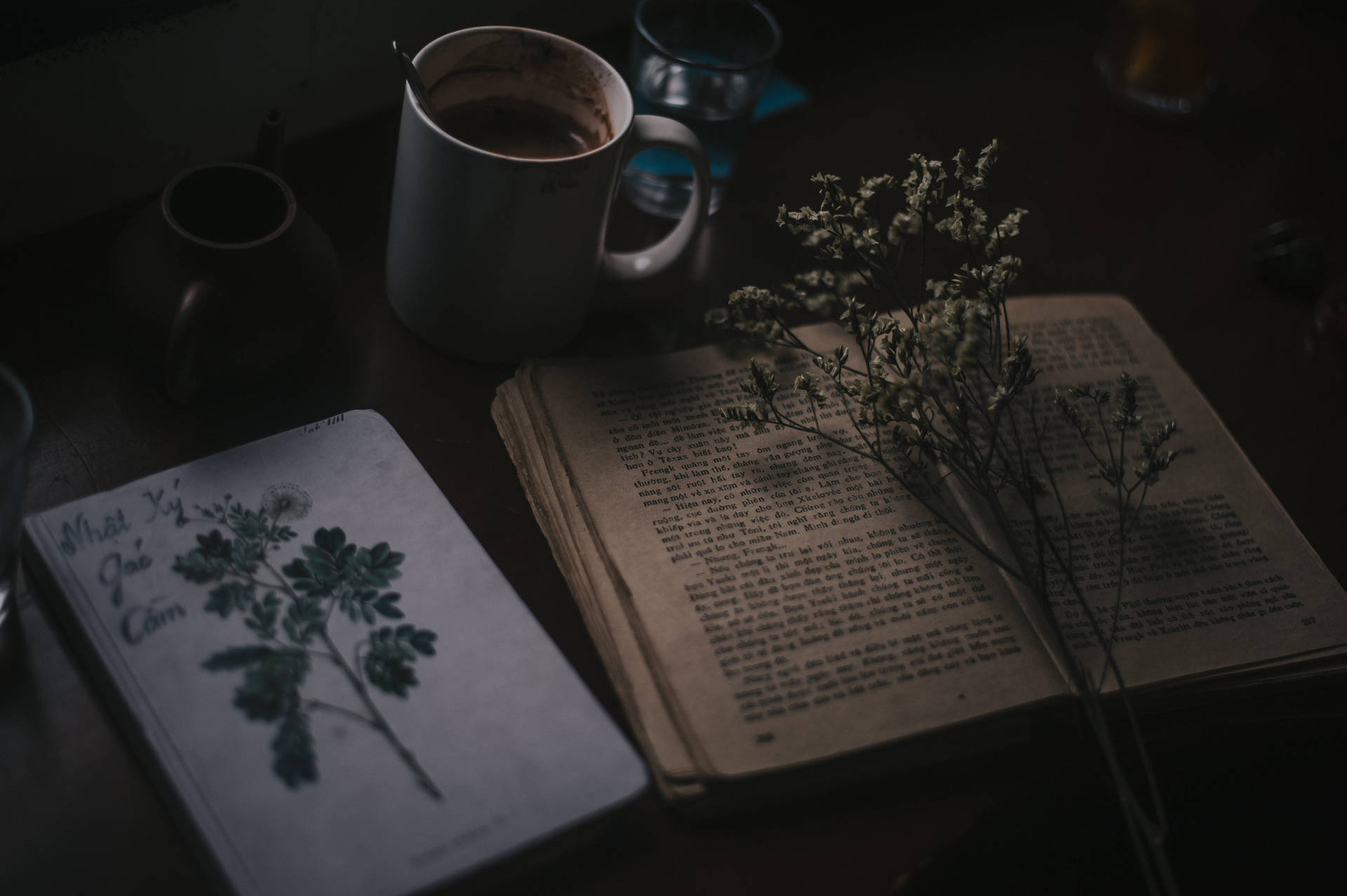 一個舒適的閱讀角落，木桌上有咖啡、書、乾花和植物學筆記本。 — Preppy 美學 GIF 壁紙