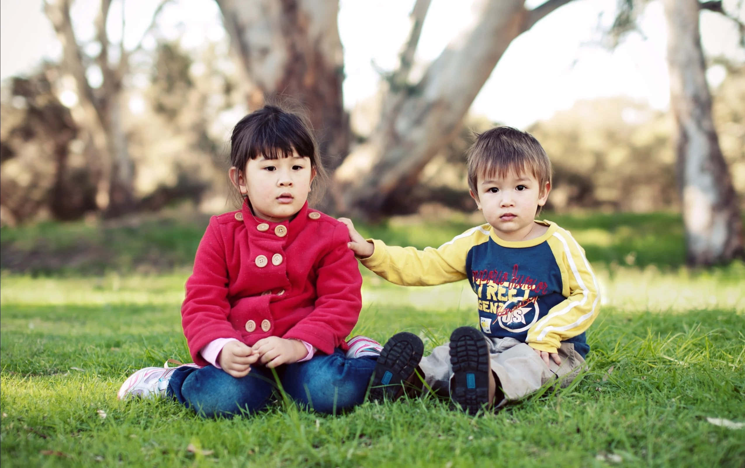 兄妹共享美好時光 壁紙 — 兩個幼兒坐在樹下的草地上，一個穿著紅色外套，另一個穿著黃色袖子，看著相機。