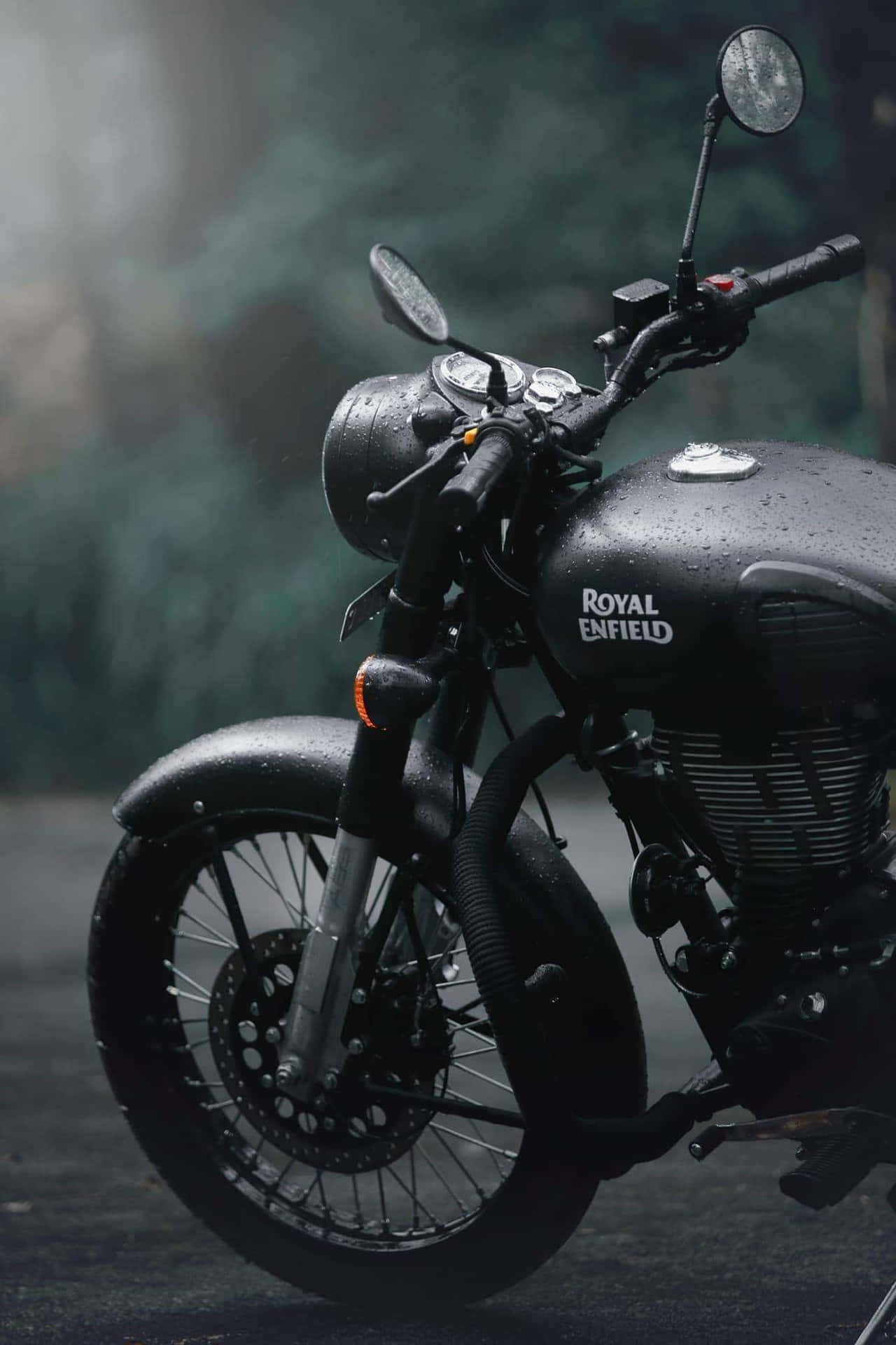 黑色 Royal Enfield 電單車停泊在雨中的森林，黃昏時分。