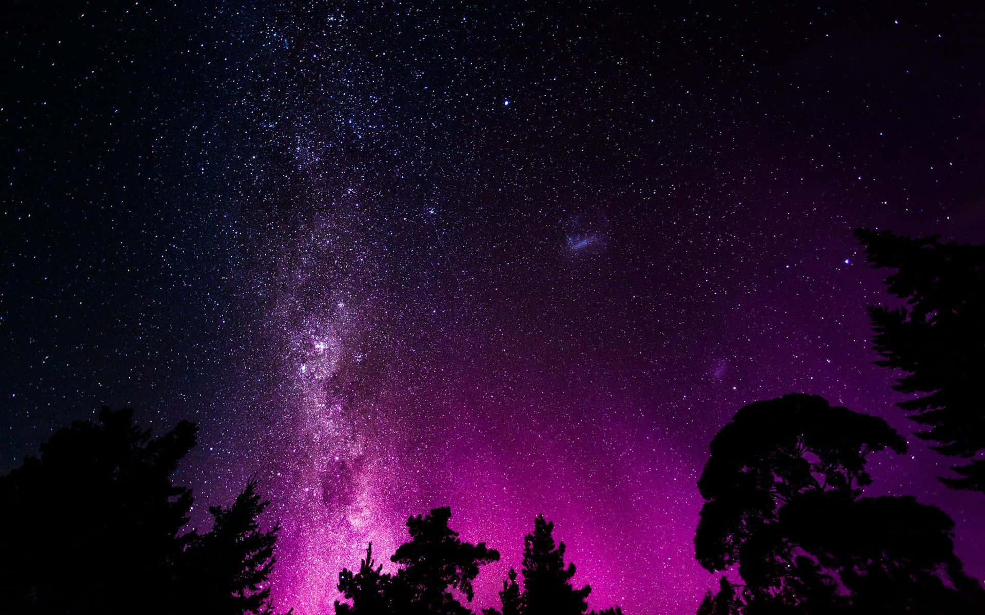 Pink Galaxy 桌布 壁紙 — 充滿星星和銀河系的充滿活力的紫色和藍色夜空在黑暗的樹木剪影上拱起。