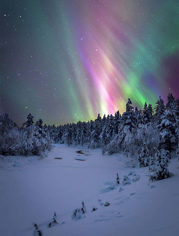 Winter Photography 桌布 壁紙 — 充滿活力的北極光在繁星點點的冬季天空中舞動，照耀著白雪覆蓋的森林和冰封的河流。