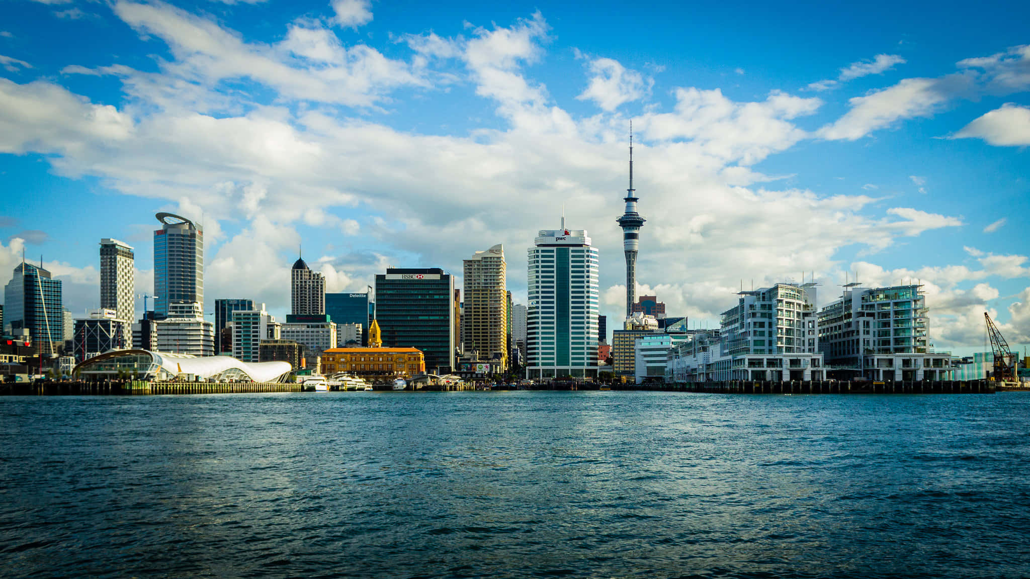 New Zealand 桌布 壁紙 — 充滿活力的城市天際線，現代摩天大樓和標誌性的天空塔在明亮的藍天和白雲下，矗立在平靜的港灣之上。
