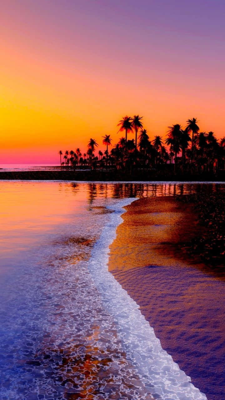 Sunset View 桌布 壁紙 — 充滿活力的夕陽將天空染成橙色和紫色，海浪輕輕拍打著棕櫚樹剪影點綴的沙灘。