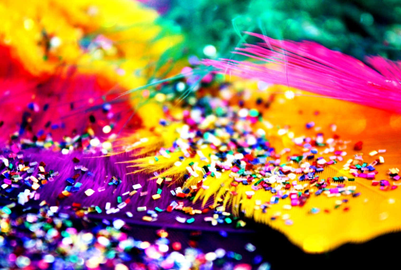 colors 桌布 壁紙 — 充滿活力的彩虹羽毛覆蓋著閃閃發光的亮片，營造出耀眼而喜慶的特寫。
