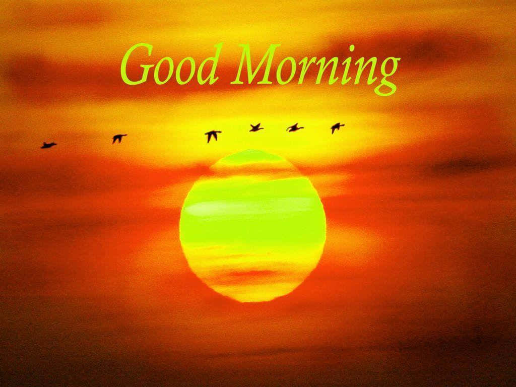 Good Morning 桌布 壁紙 — 充滿活力的日出，帶有發光的綠色和橙色太陽，鳥兒飛過天空，並有「早晨」文字。