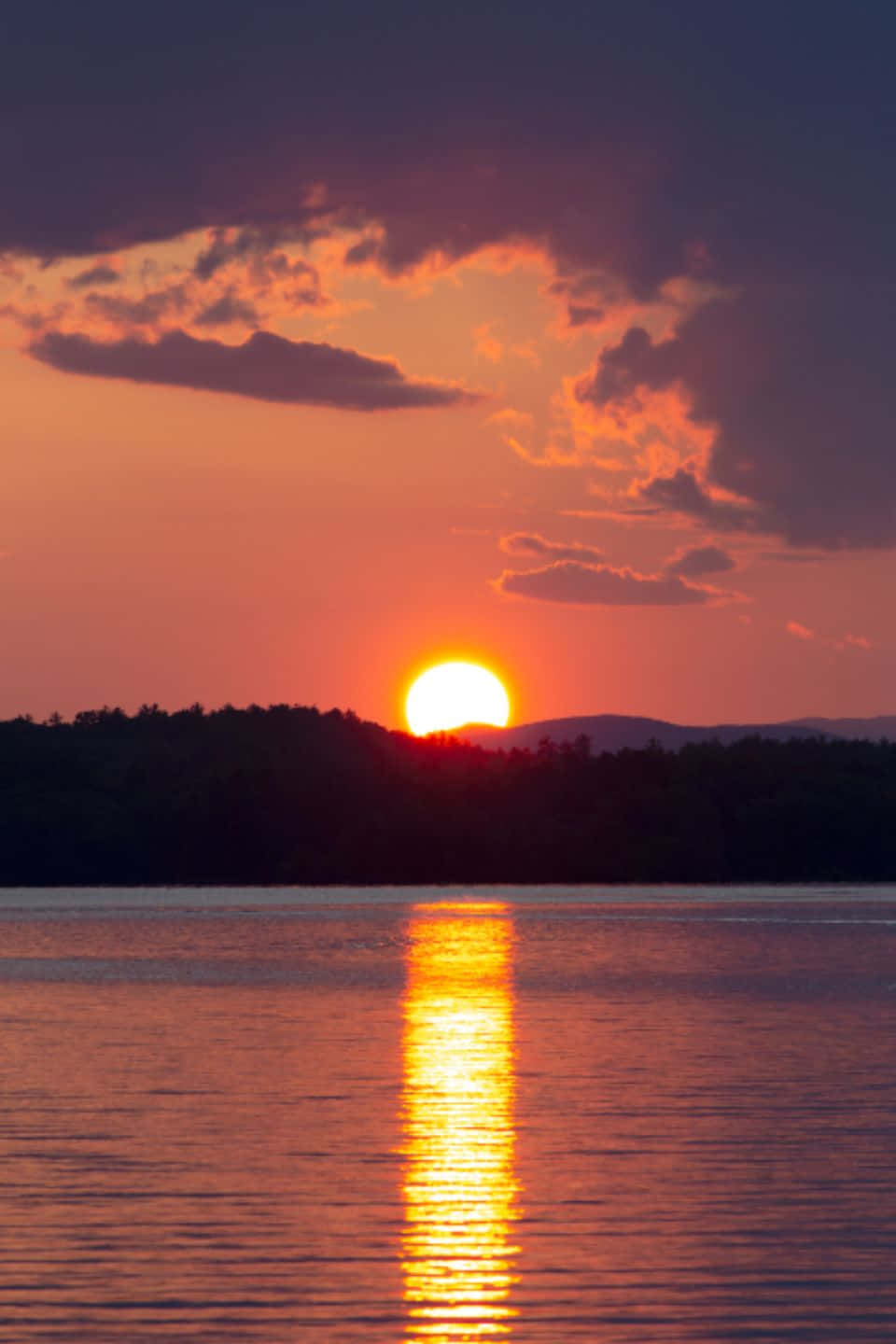 Sunset Photography 桌布 壁紙 — 充滿活力的日落將火熱的橙色和粉紅色色調投射在平靜的湖面上，帶有發光的太陽倒影和黑暗的樹木成蔭的湖岸。