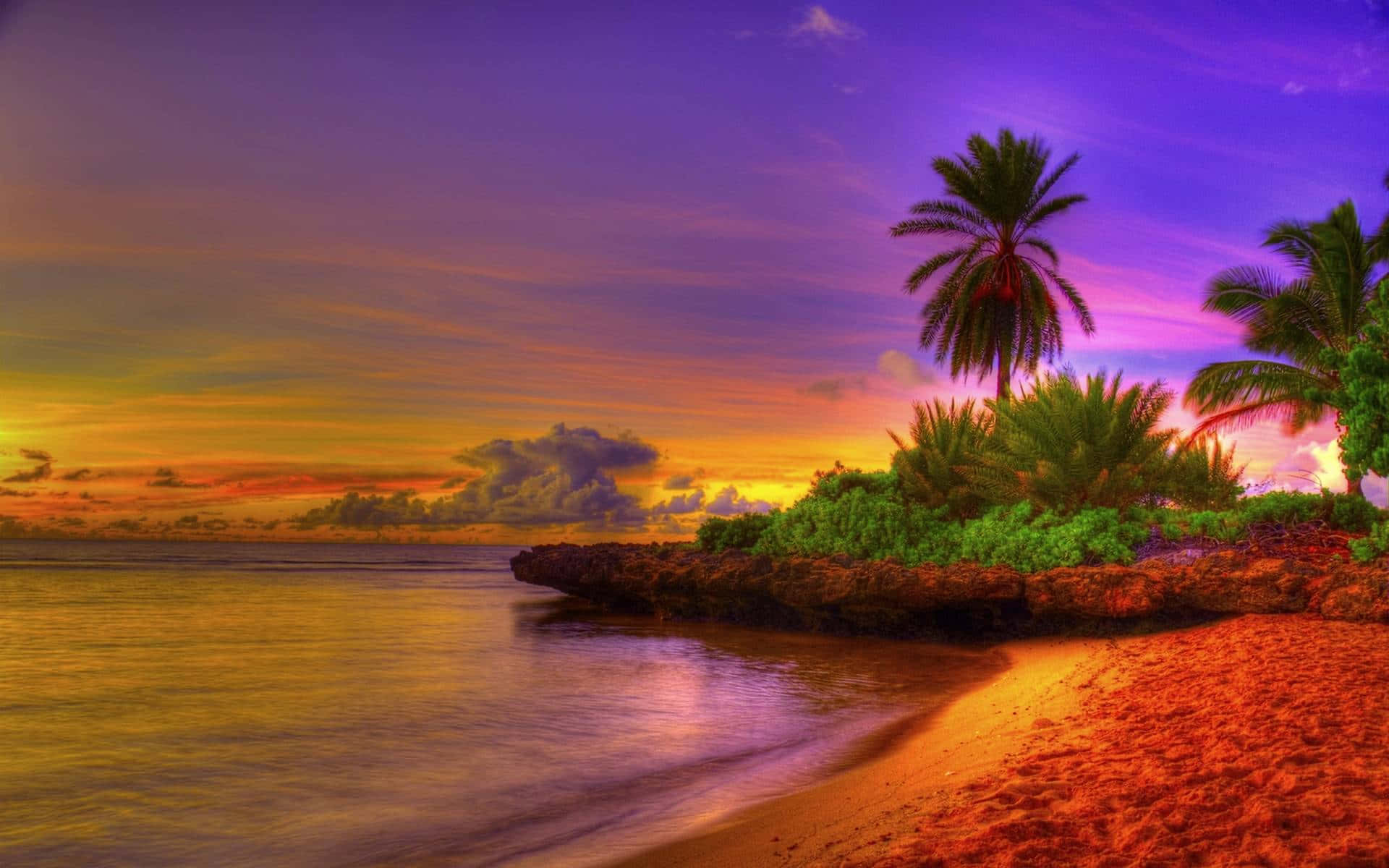 Beautiful Beach 桌布 壁紙 — 充滿活力的日落描繪熱帶海灘，紫色橙色天空、棕櫚樹和寧靜的海浪。