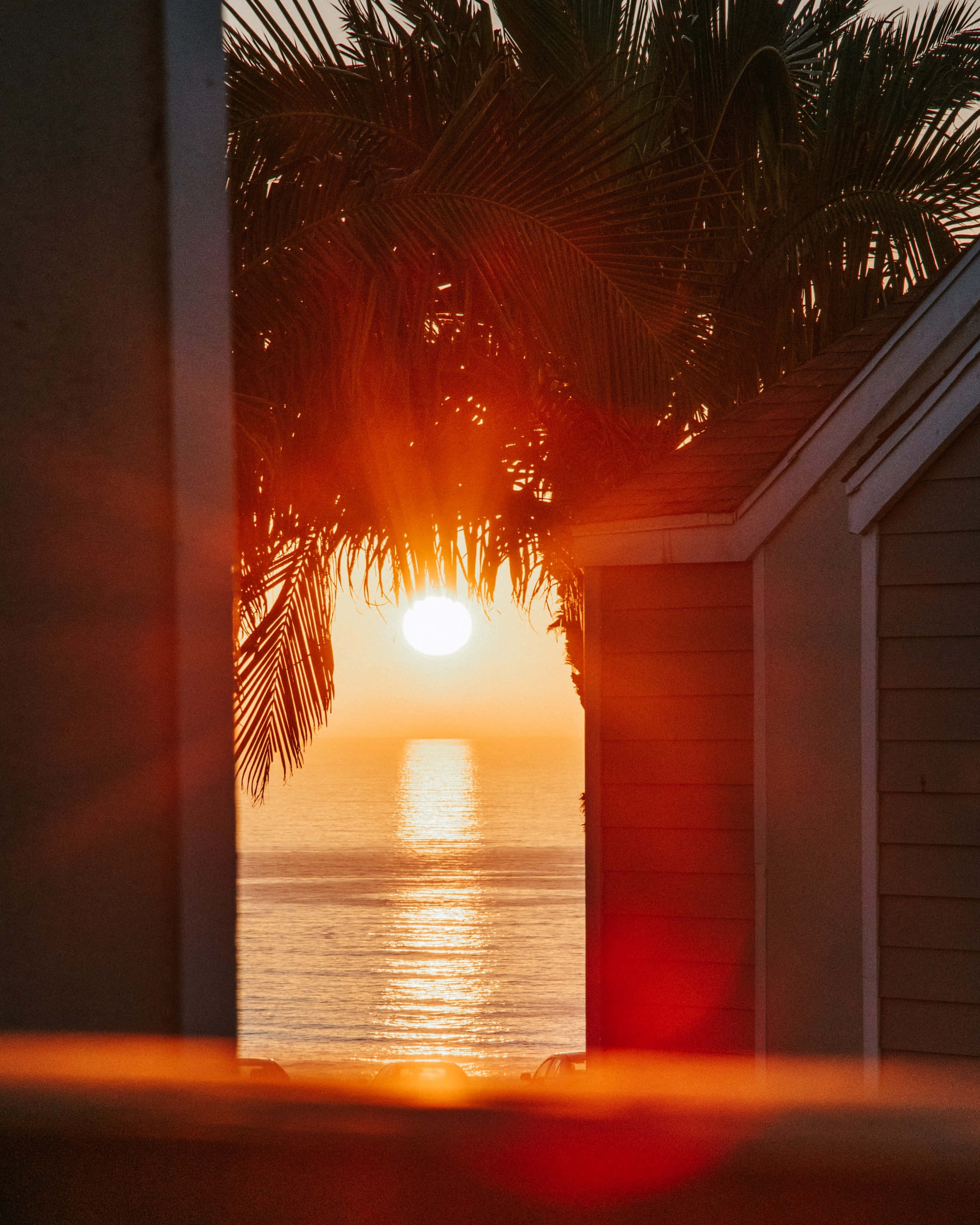 Sunset View 桌布 壁紙 — 充滿活力的日落穿過棕櫚葉和房屋框架，照耀在平靜的海洋地平線上。
