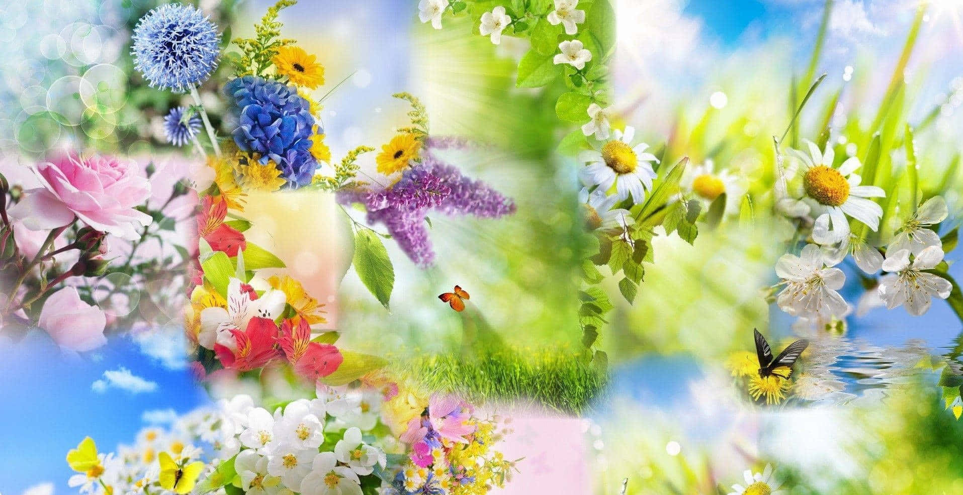 HD Spring 桌布 壁紙 — 充滿活力的春天花朵、蝴蝶和草地拼貼畫，在明亮的藍天下帶有柔和的散景效果。
